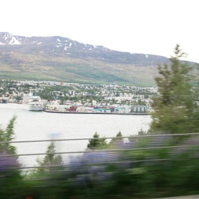 Img 9036