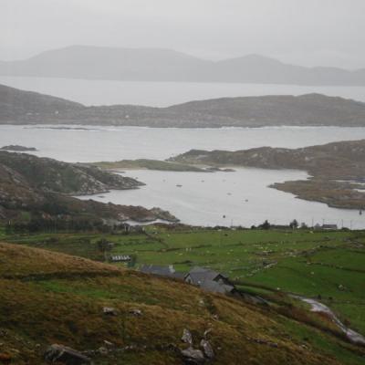 Dsc 1161