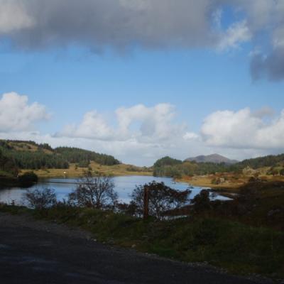 Dsc 1219