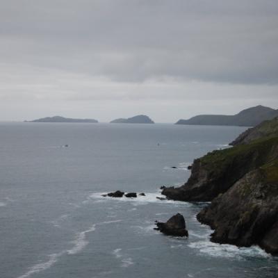 Dsc 1258