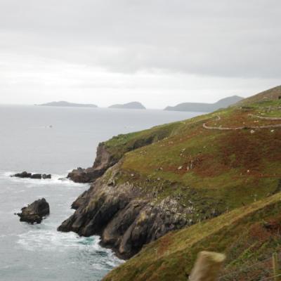 Dsc 1259