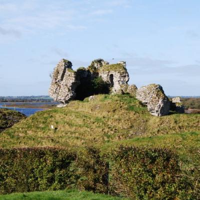 Dsc 1355