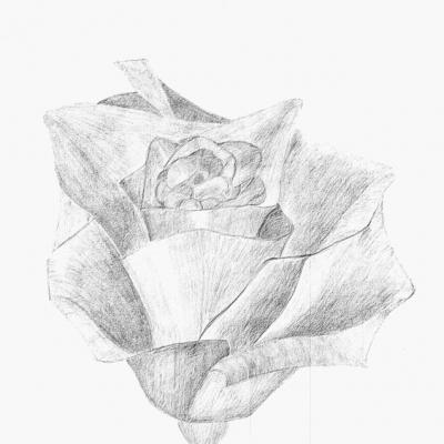 20110219